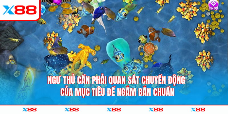 Ngư thủ cần phải quan sát chuyển động của mục tiêu để ngắm bắn chuẩn